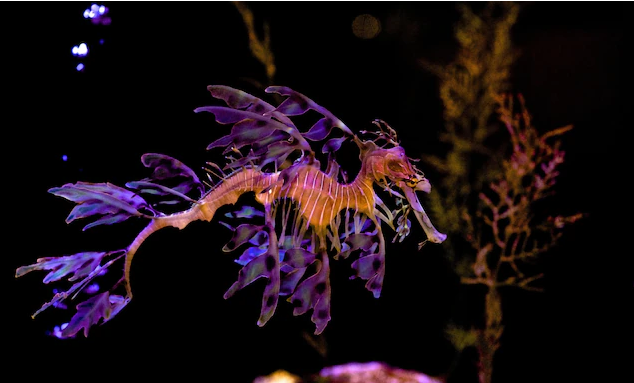 PHOTOGRAPH BY BONNIE STEWART