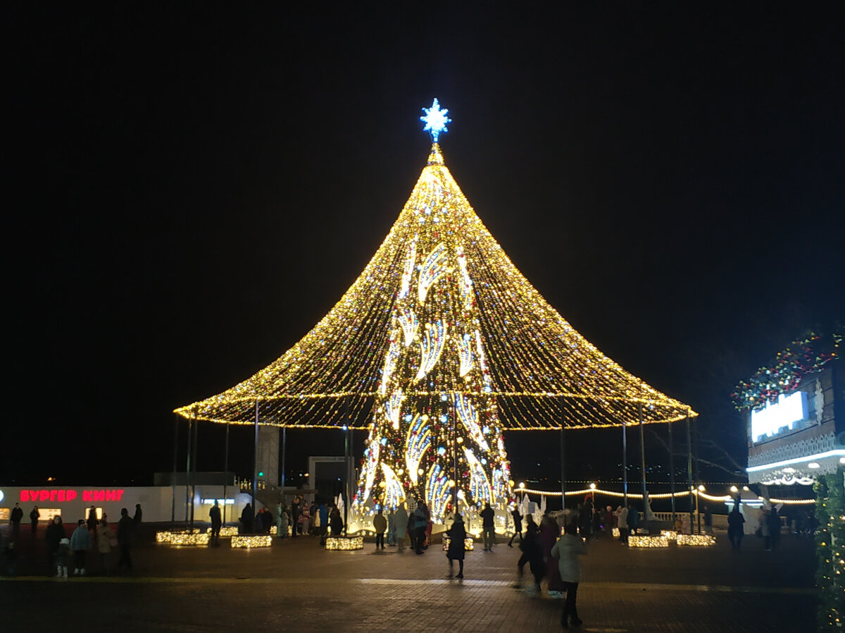 Такая елка установлена в Геленджике на Центральной площади сейчас, 26 декабря 2021 год.