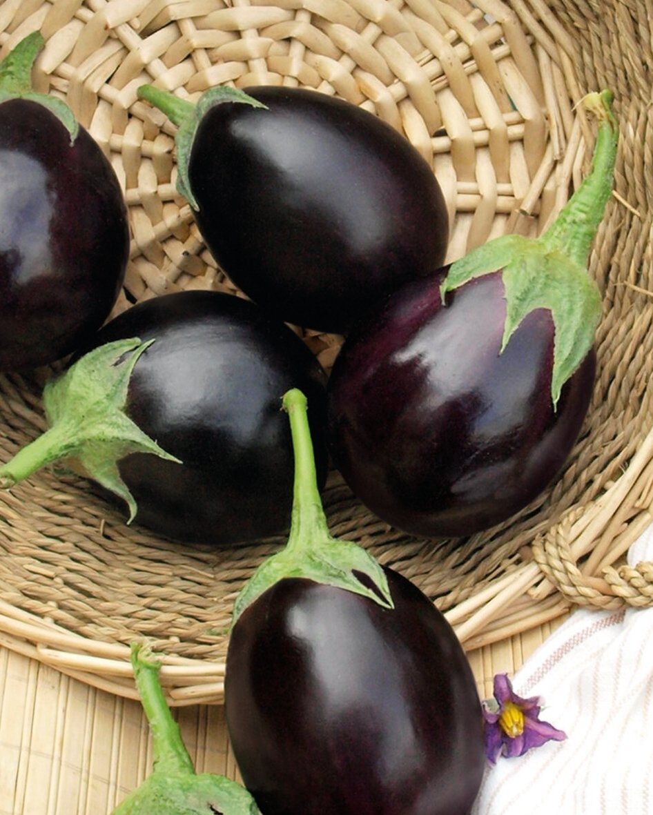 Этот баклажан хорош во всех отношениях