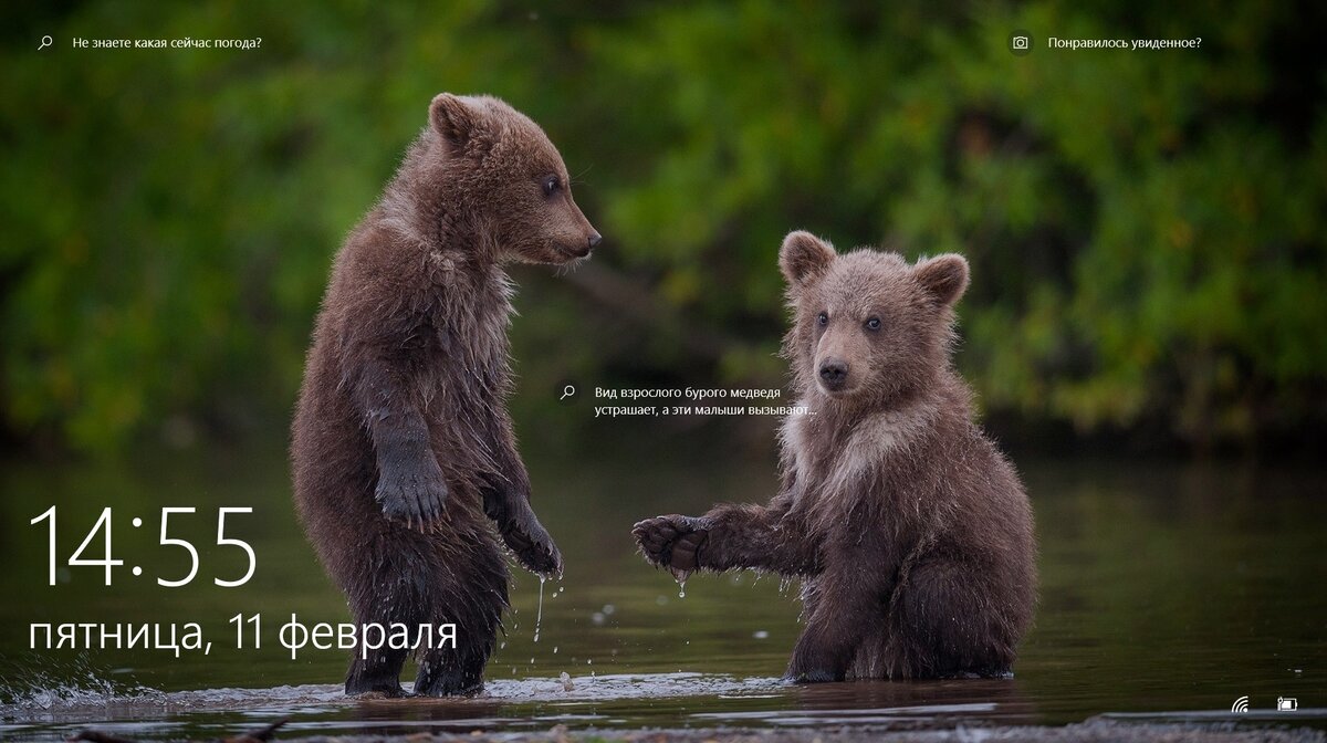 Скриншот заставки ждущего режима