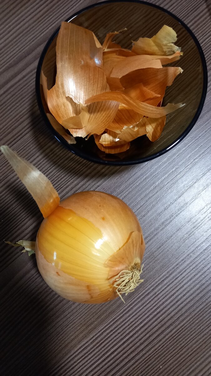 Репчатый лук