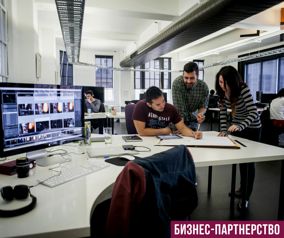 Подготовить корректный бизнес-план и питч для инвесторов