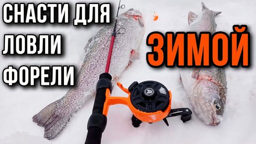 Снасти для ловли прудовой форели зимой, для начинающих. | AKARA FISHING ...