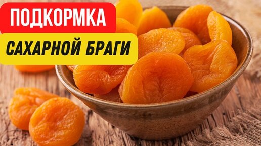 Подкормка сахарной браги для самогона. Как и чем подкормить дрожжи для самогона?