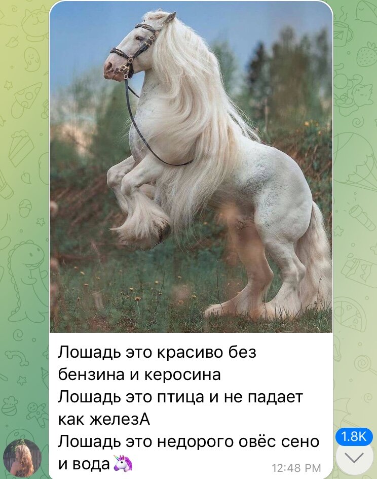 Horse is like a bird 