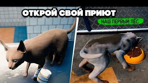 СПАСАЕМ КОТИКОВ и СОБАЧЕК - ПЕРВЫЙ ПЁС ♦ Animal Shelter #3