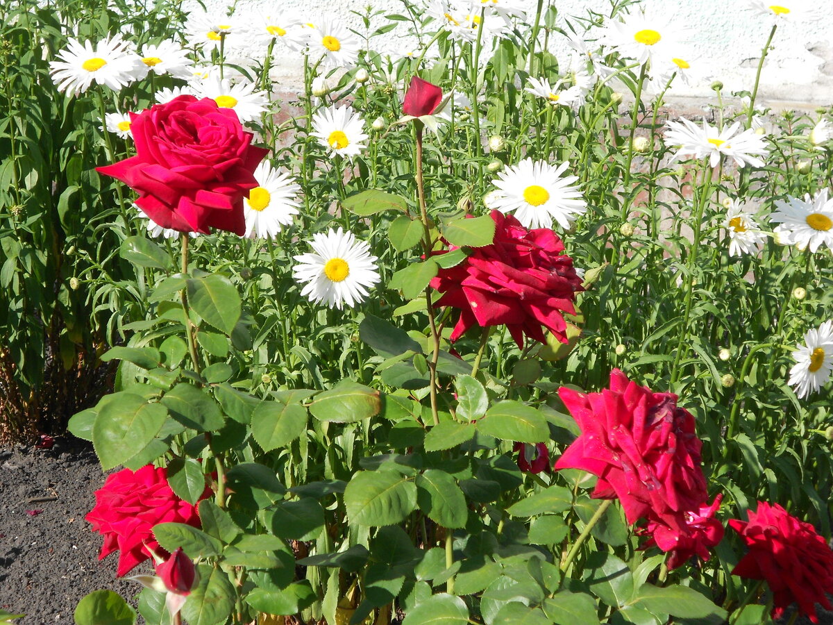 Тайна человека