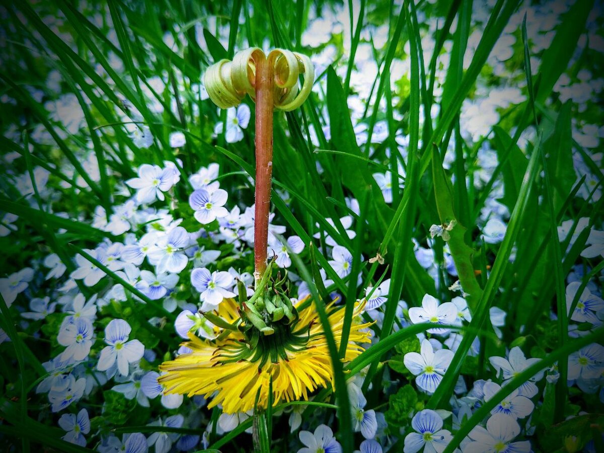 Специально для вас изготовила "принцессу"