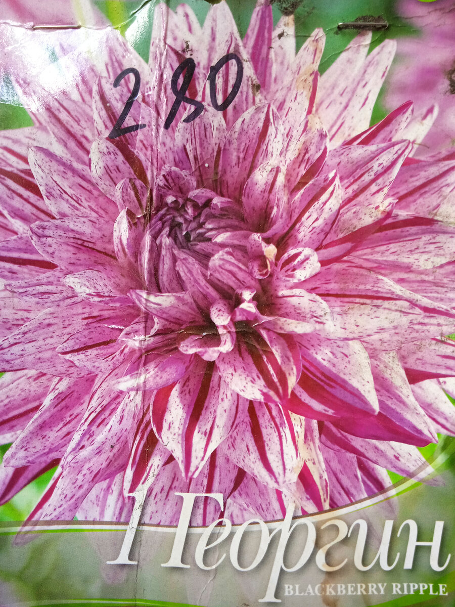 Это его этикетка. 