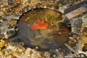 Вера формируется в горниле наших страданий, откуда выходит в виде гибкой открытости, помогающей нам ориентироваться в тех областях себя, которые часто погрязли во мраке, безысходности и депрессии. Однако наличие веры не обязательно означает, что наше путешествие пройдет без трудностей. Даже когда вера сильна, может случиться так, что мы увязнем на четвереньках в грязи. Но у нас не будет такого стремления делать драму из нашей ситуации с эго в главной роли.