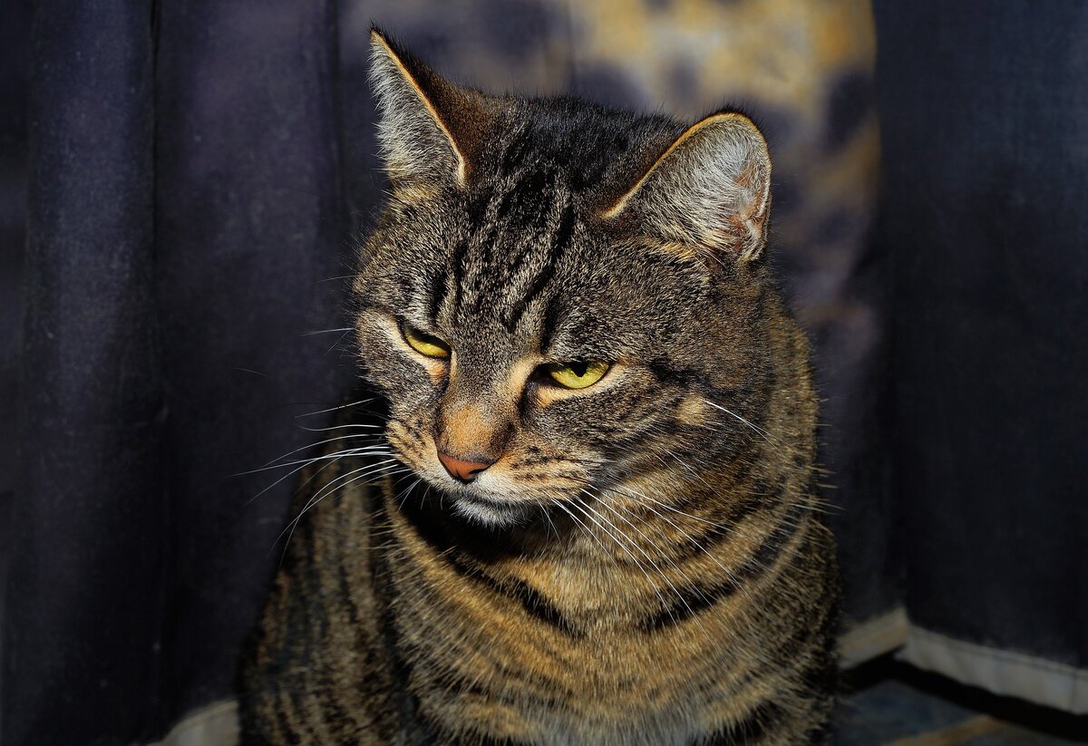 Фото из Яндекс.Картинки