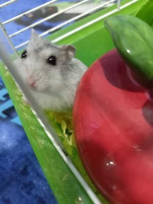 Как жаль, что все закончилось