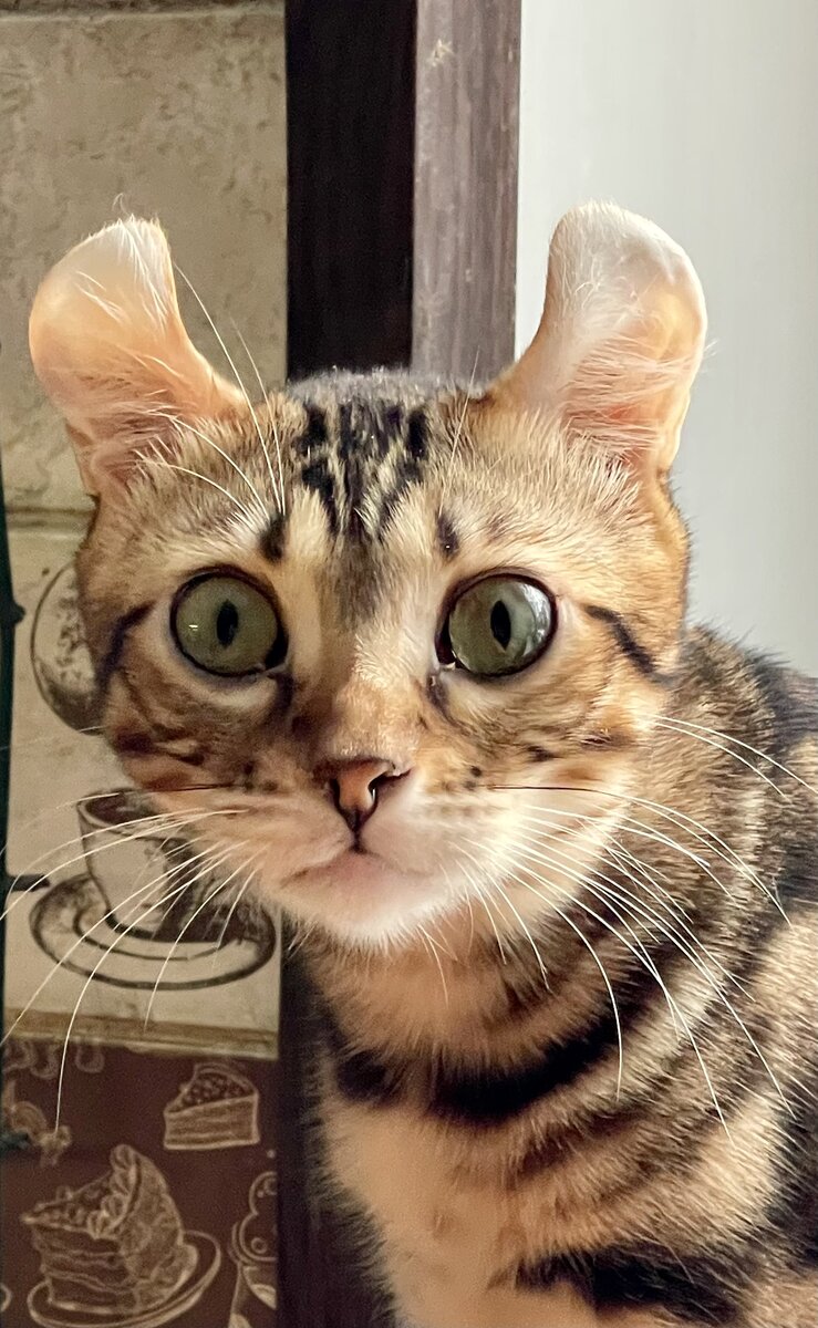 Мам, ты как?