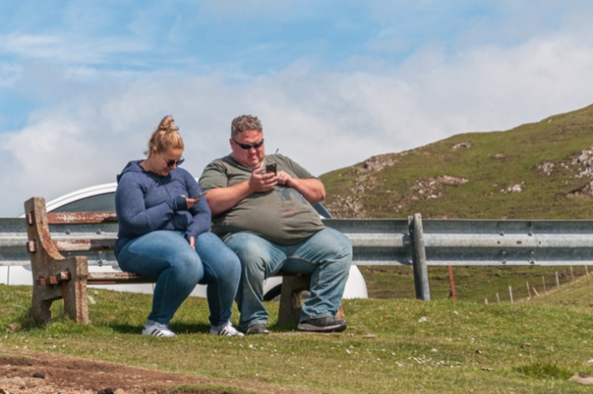    Яблоко или груша?