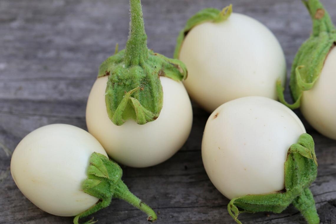 Баклажан сорта Снежный шар (фото из сети Интернет)