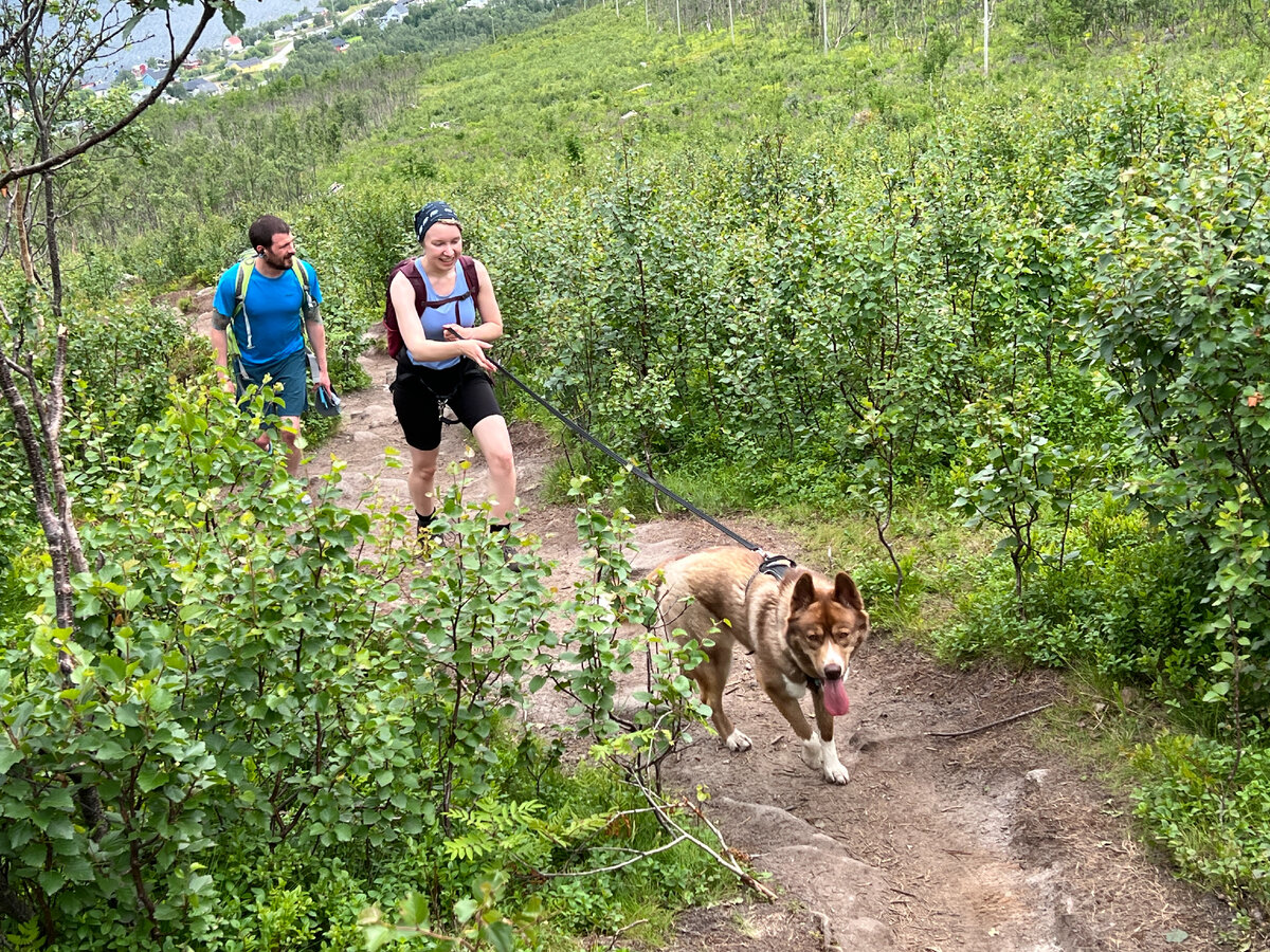 Норвегия, остров Сенья. Хайкинг на Husfjellet. Фото автора