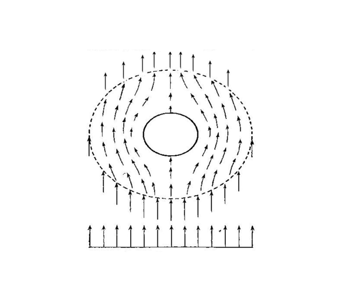 Рис. 2. Обтекание клетки однородным потоком.