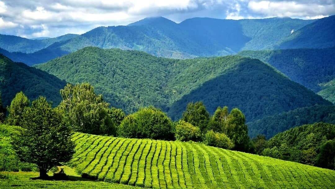 Экскурсия из Головинки в Солох-Аул