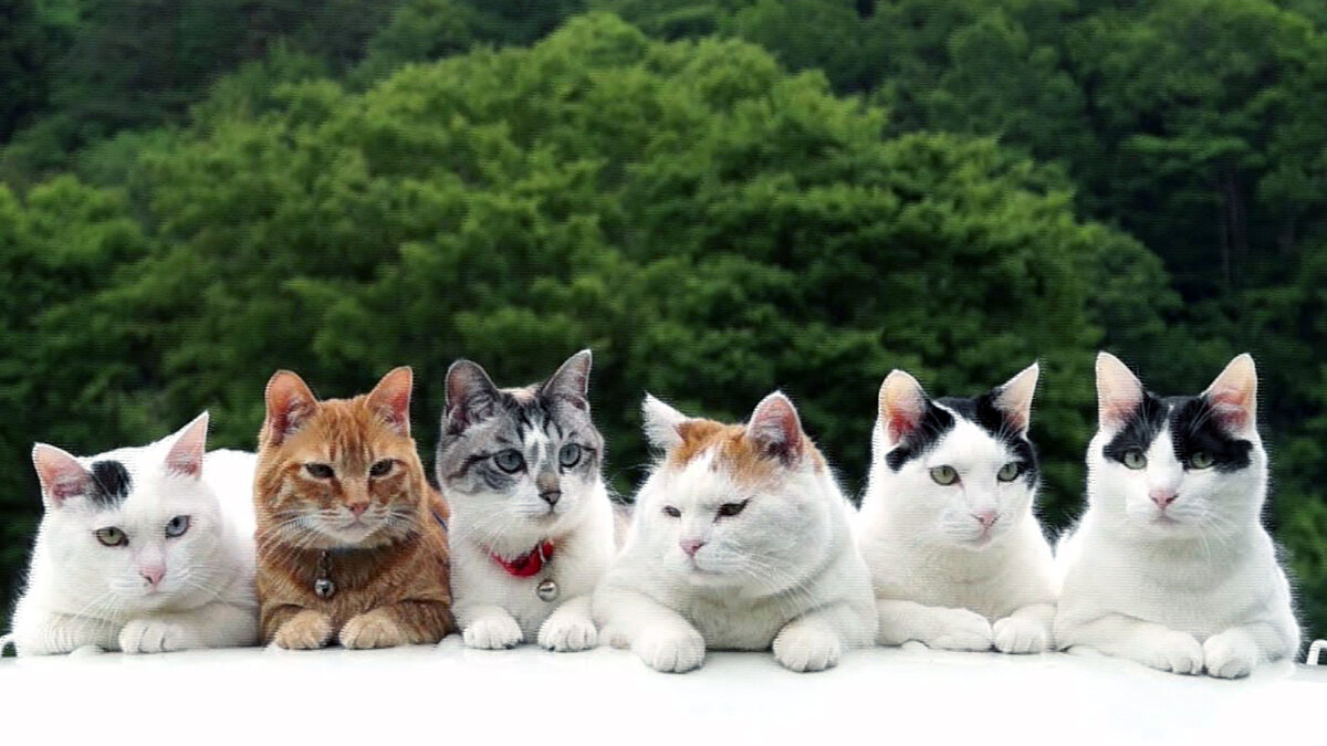 источник фото: i.ytimg.com