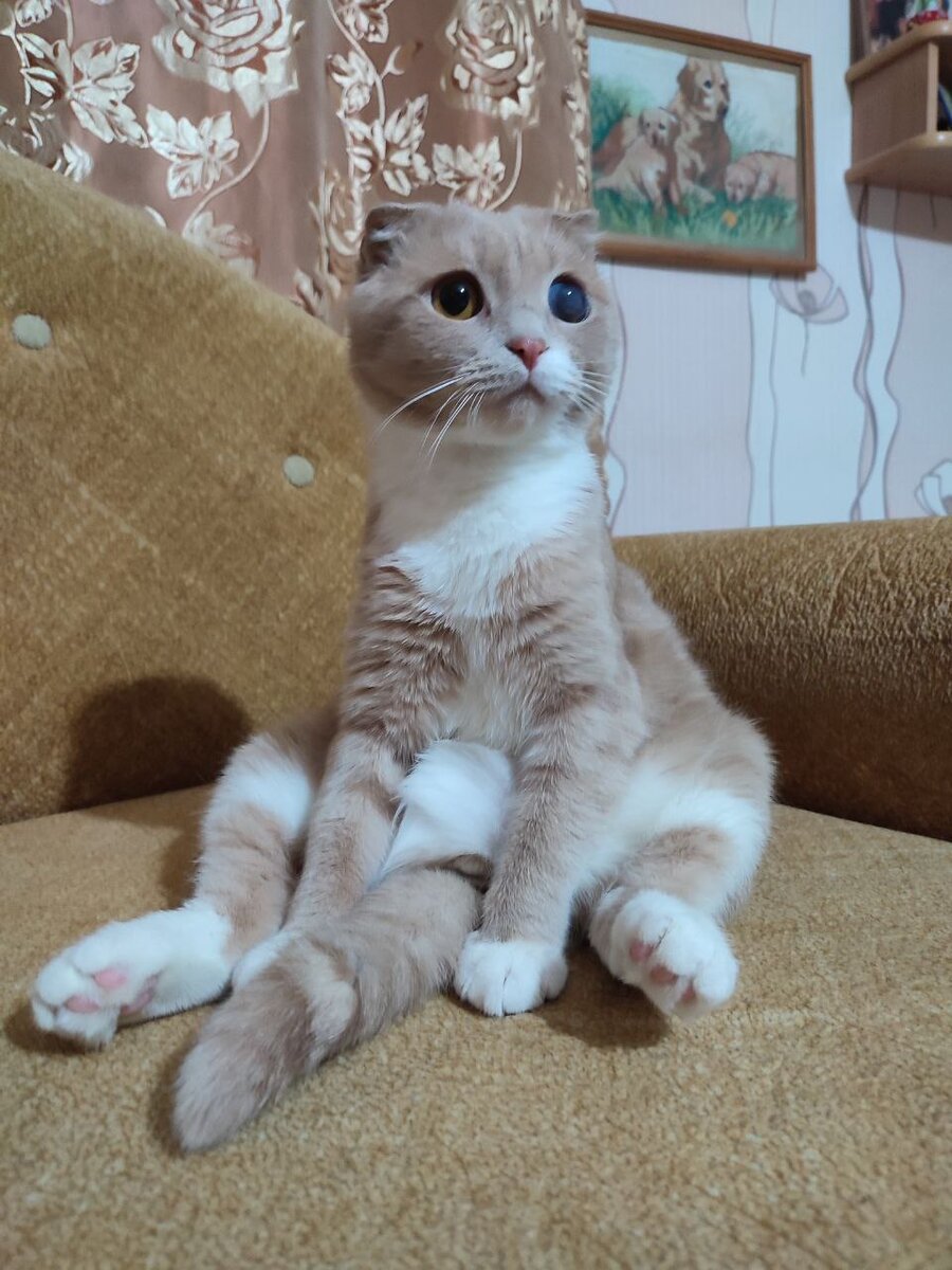 Привет, я и есть Семен, хозяин этого блога)