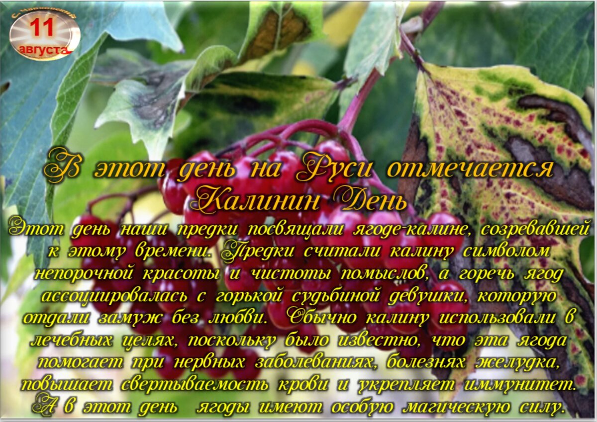 11 августа - Приметы, обычаи и ритуалы, традиции и поверья дня. Все  праздники дня во всех календарях. | Сергей Чарковский Все праздники | Дзен