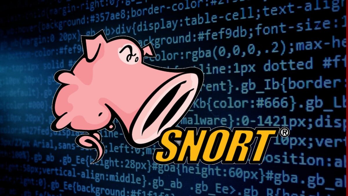 Snort — инструмент командной строки, который позволяет защитить сеть от злоумышленников с помощью настраиваемого набора правил.