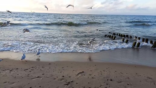 Шум Балтийского моря на закате