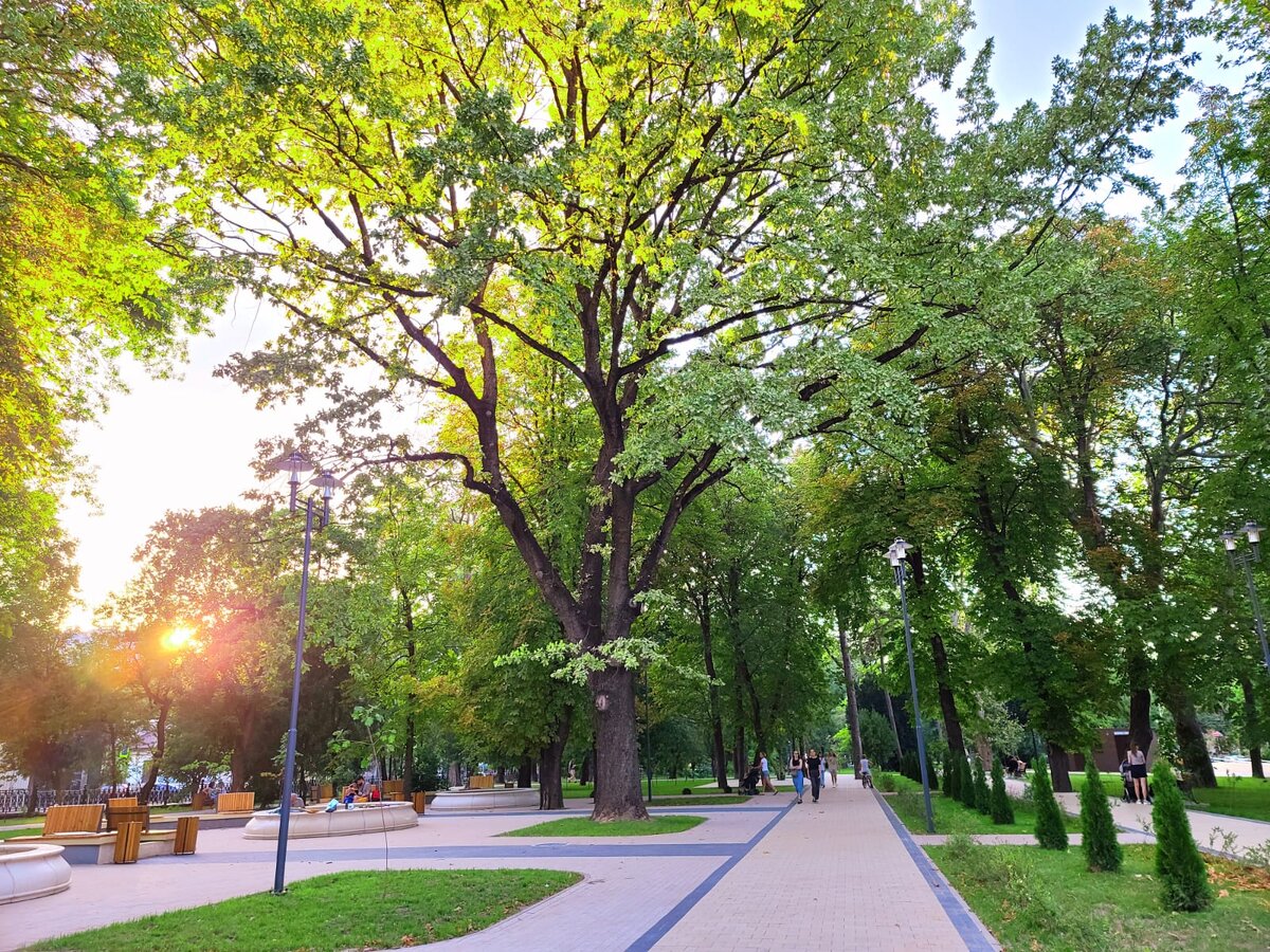 Сквер на бульваре Ленина в Симферополе // Фото: Олег Древницкий