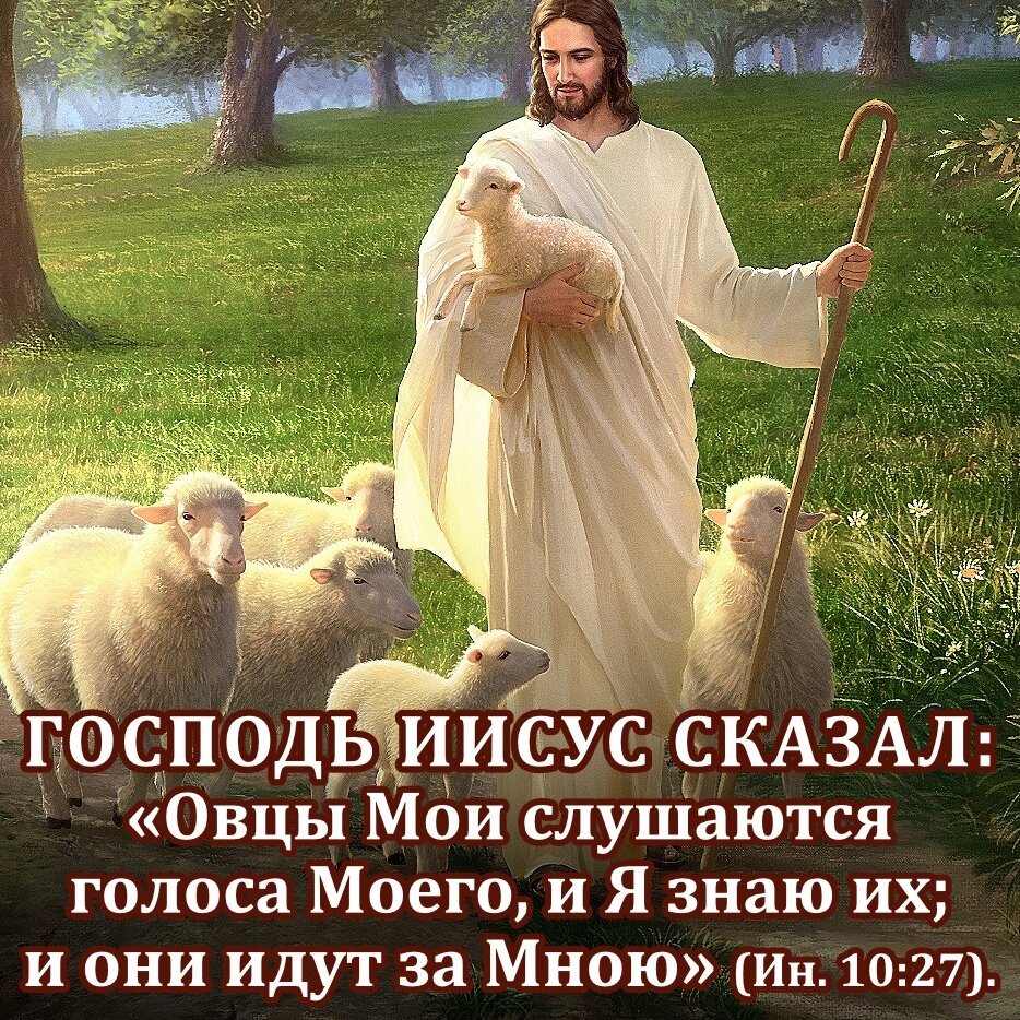 Яндекс.картинки