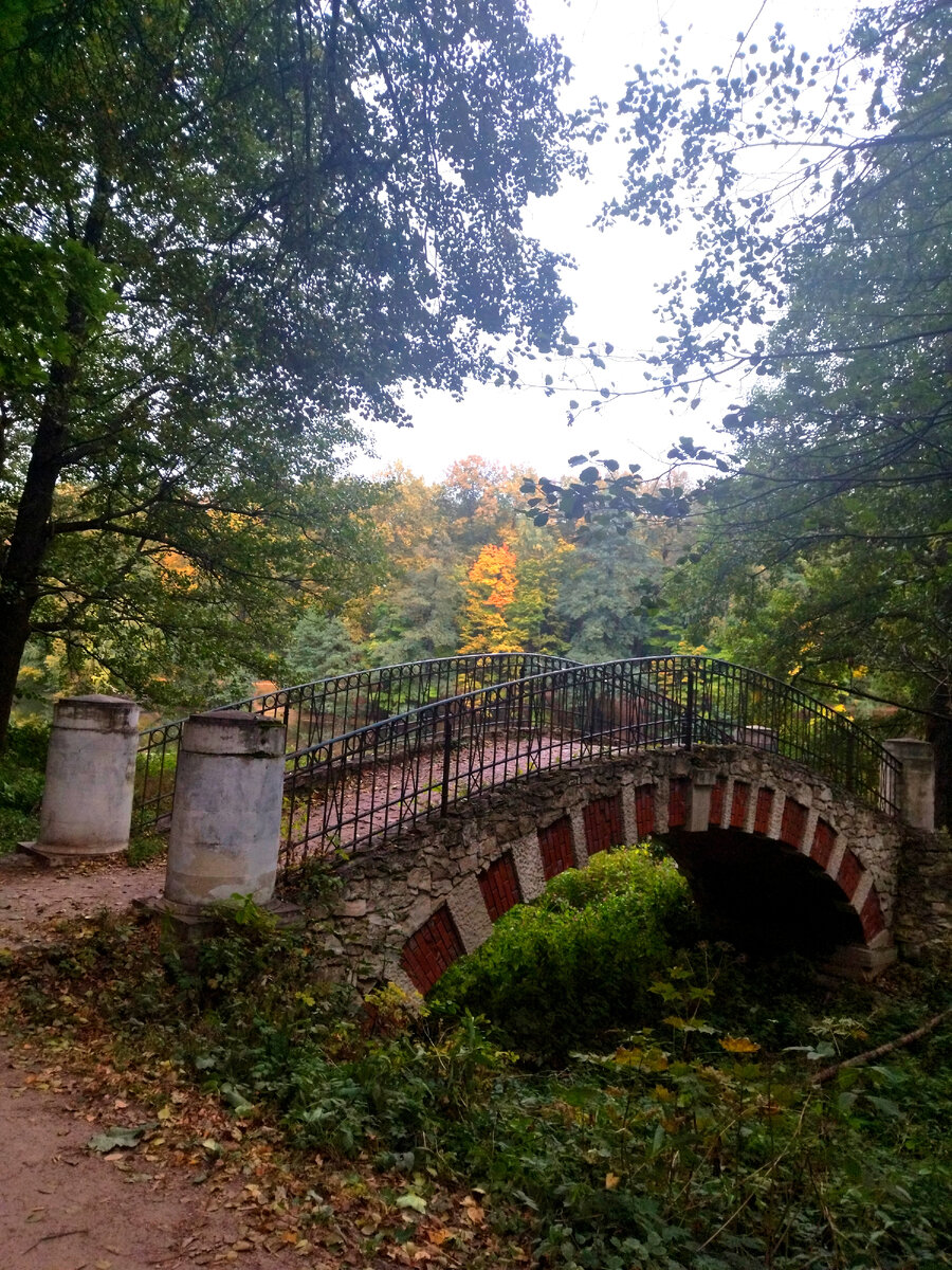 Фото автора, сделанное в раздумьях о том, что дальше