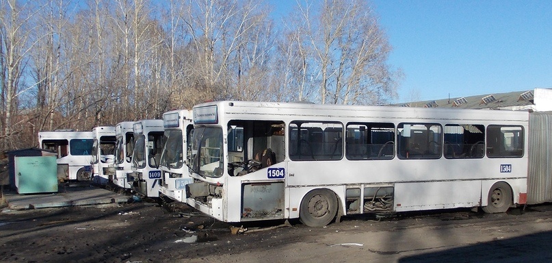 Фото : Александр Евровский 