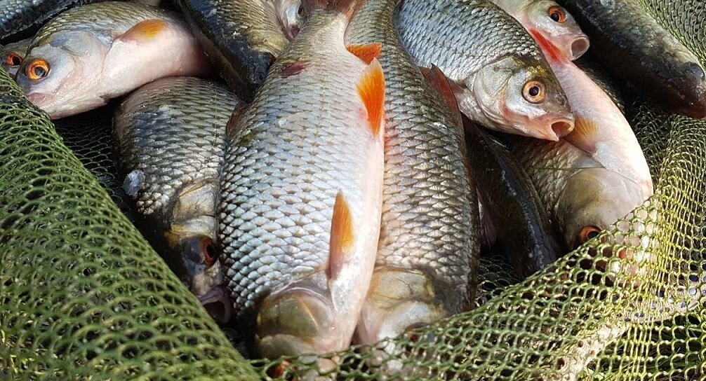 Фото из интернета.