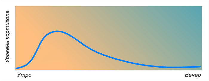 Изменение уровня кортизола в организме в течение дня при нормальных условиях