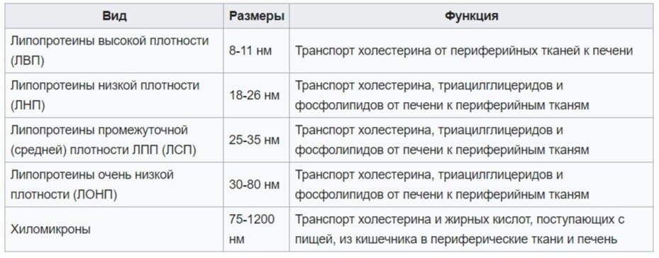 Источник: https://ru.wikipedia.org/wiki/%D0%9B%D0%B8%D0%BF%D0%BE%D0%BF%D1%80%D0%BE%D1%82%D0%B5%D0%B8%D0%BD%D1%8B