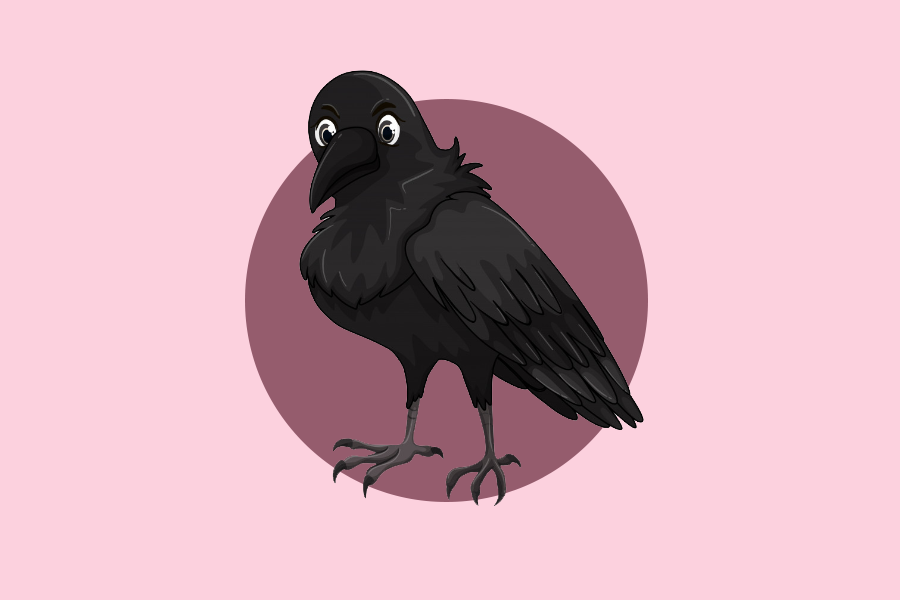 Прилетели галки