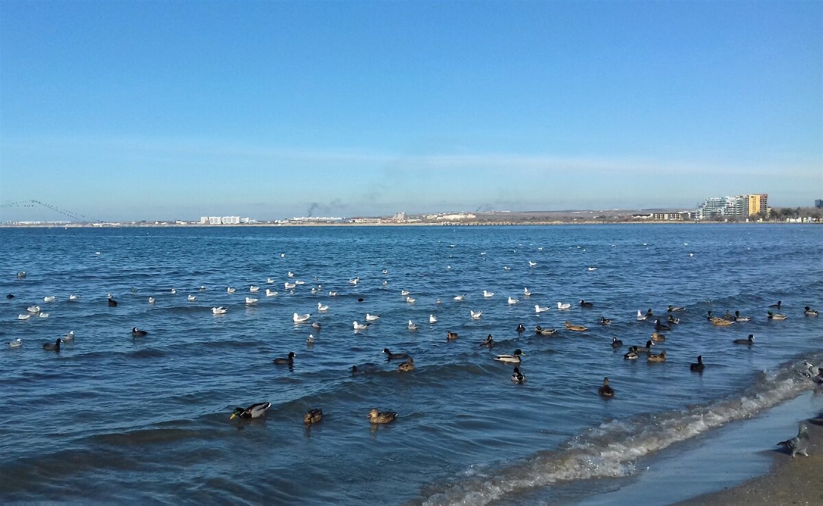 Чёрное море, Анапа