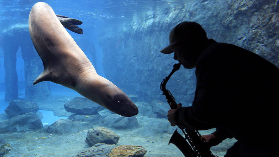 Фото: Reuters