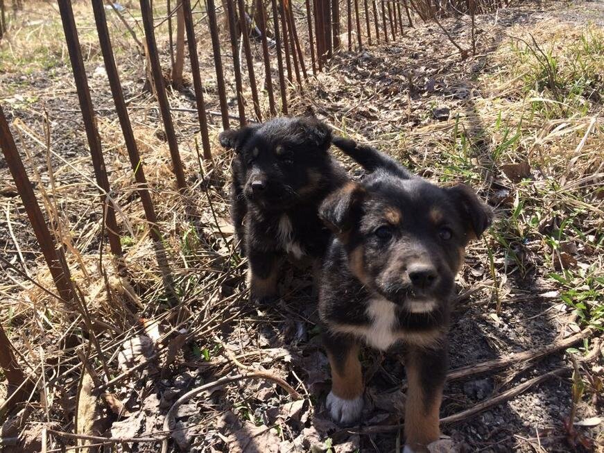 Фото: Город Казань KZN.RU