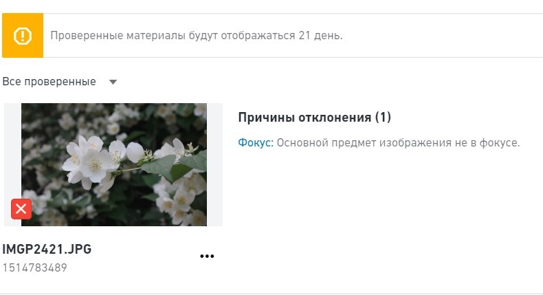 скриншот автора с сайта submit.shutterstock.com