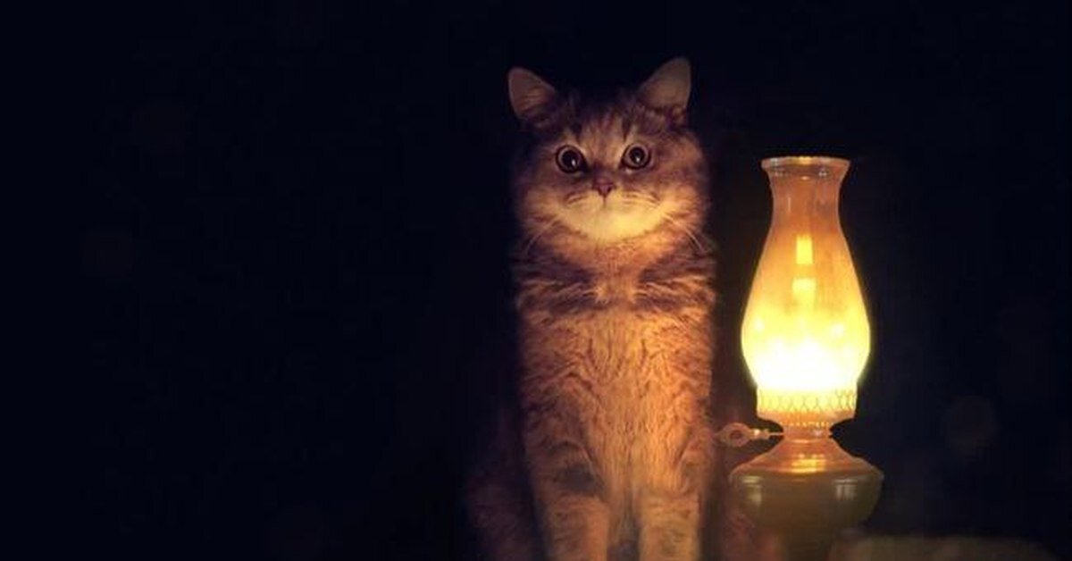 Настало время офигительных историй!