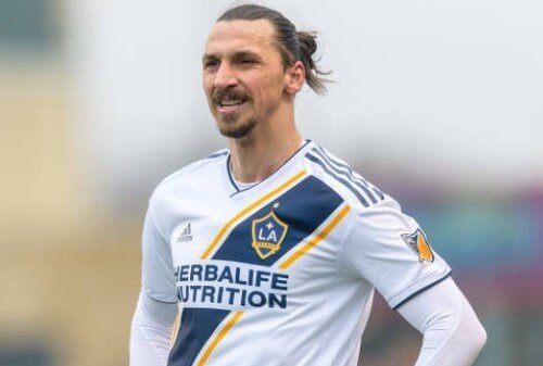 Златан Ибрагимович 