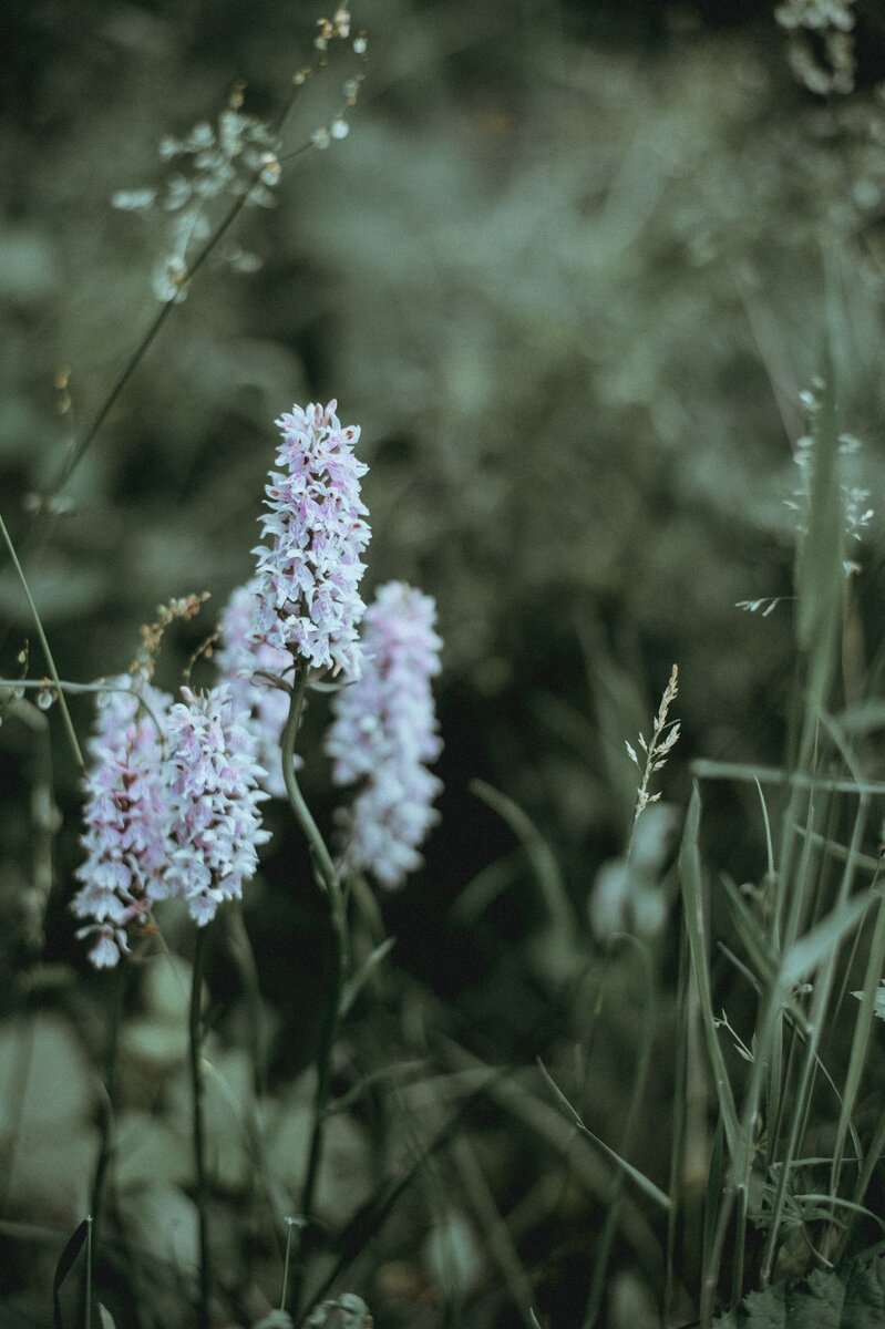 https://unsplash.com/photos/Y5Nd019UCfc