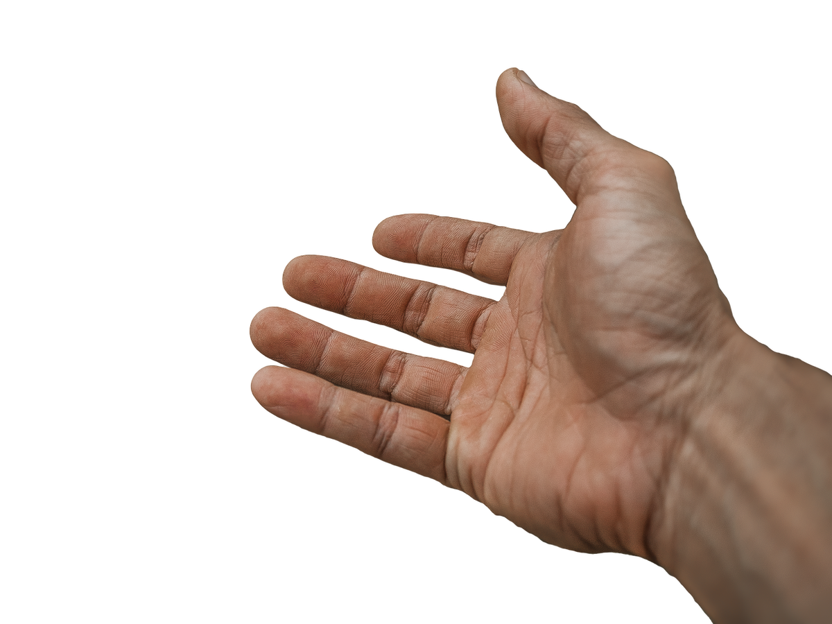 https://cdn.pixabay.com/photo/2016/12/22/17/27/hand-1925875_1280.png