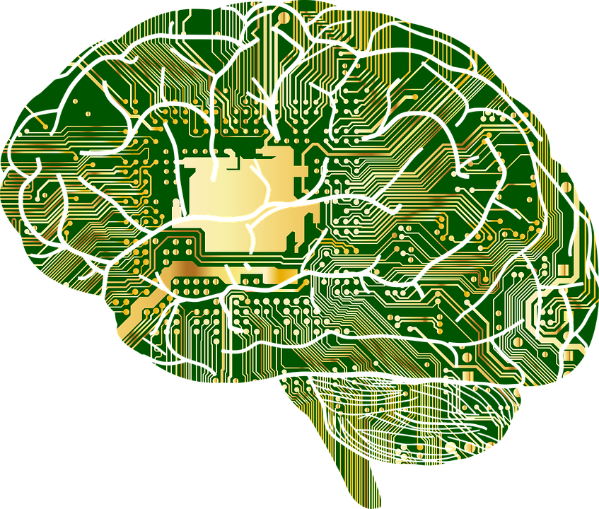 https://cdn.pixabay.com/photo/2016/10/18/19/40/anatomy-1751201_960_720.png