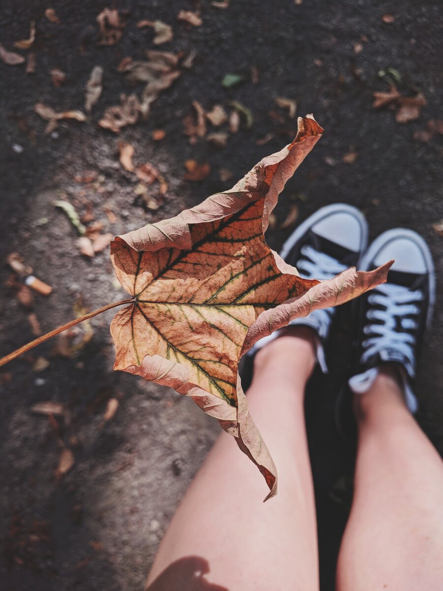 https://freephotos.cc/ru/autumn-shoes#2734698