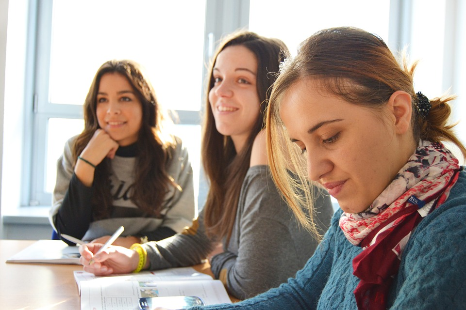 https://pixabay.com/photos/language-school-team-interns-834138/
