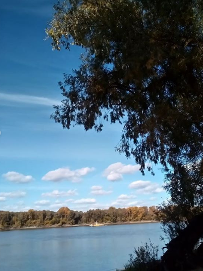 Любимое место для рыбалки