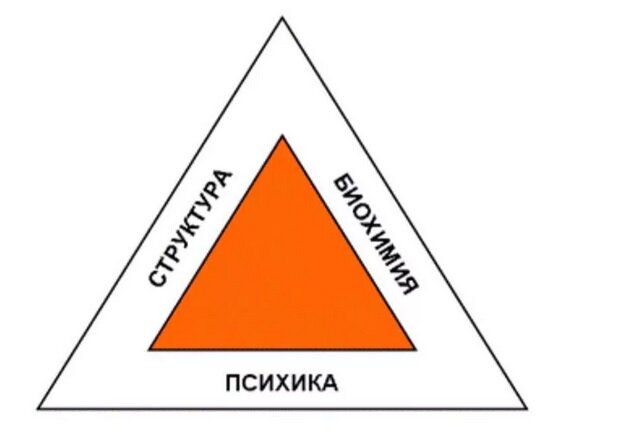 С Днем Рождения Бунтинг баннер оформление на день рождения