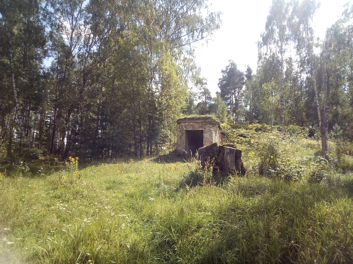 Нашли в лесу огромные ракетные ангары и бункеры