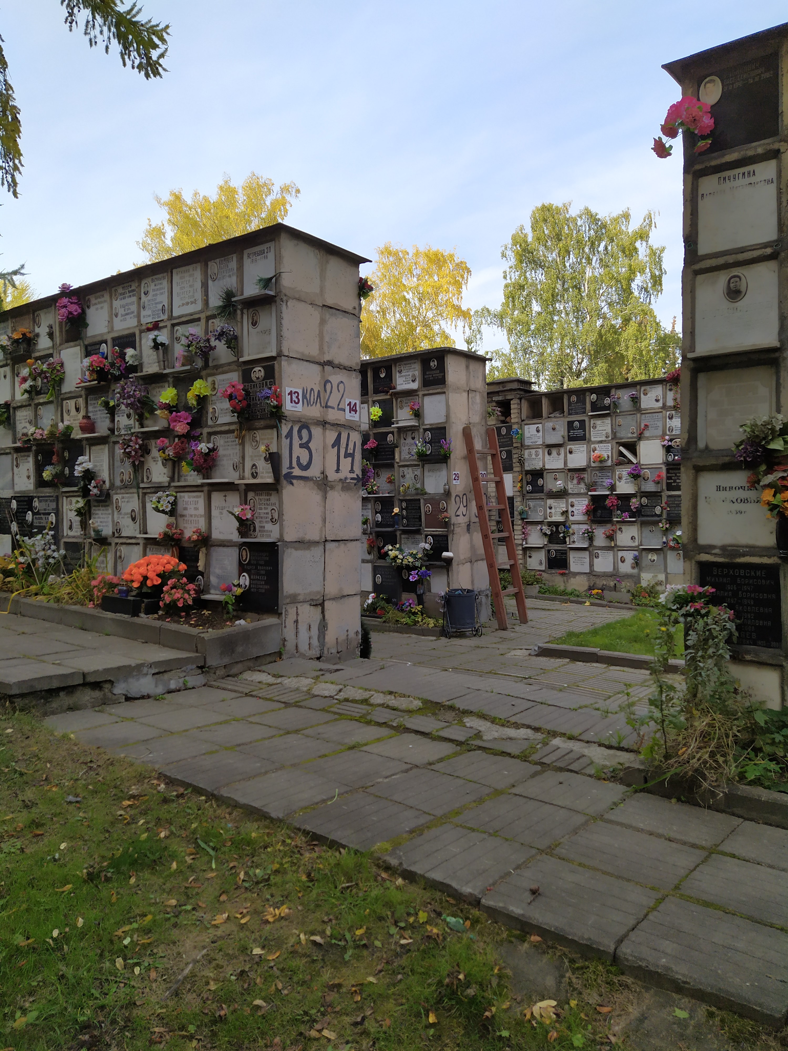 Донское кладбище в москве схема